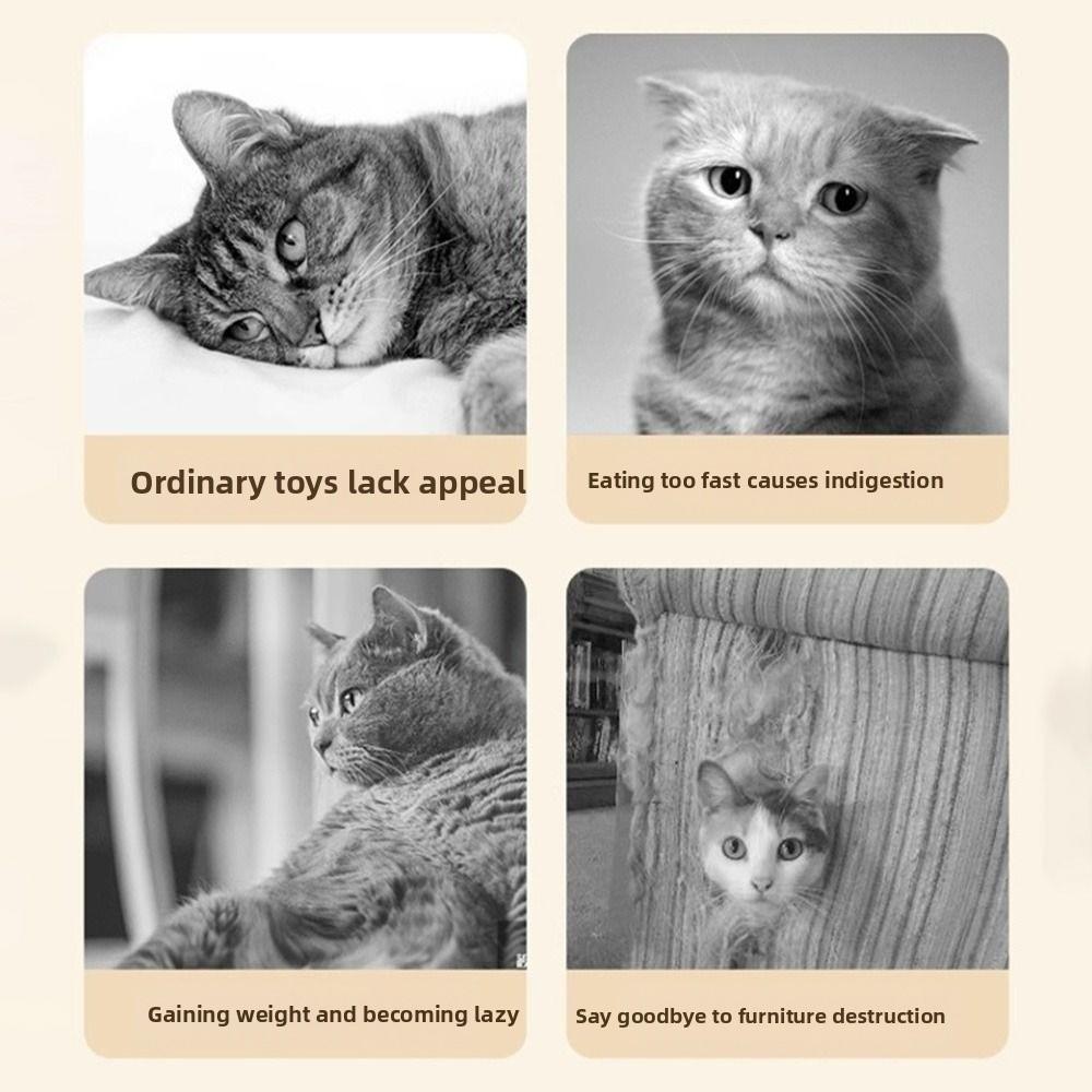 Built-in Feather Electric Cat Rotating Toy Creative Smart Pet Turntable Toy  Pet Supplies