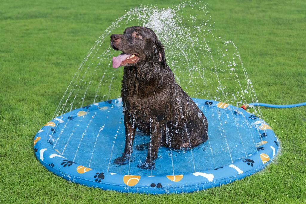 Bestway Dog Splash Pad, Sprinkler Mat, Non-Slip Sprinkler Pad for Dogs, Dog Pool, Splash Play