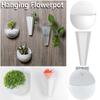 Garden Supplies Flower Holder Wall Hanging Flowerpot Hanger Vase Ball/Cone Shape Water Planting