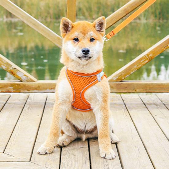 Светоотражающий жилет-шлейка для питомца, дышащая сетчатая шлейка для собаки/кошки с регулируемыми ремнями, жилет для кошки с боковой застежкой, защищенный от побега, для безопасной прогулки