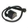 Ignition Coil Sturdy 33410-19B10 for Yamaha Raptor 660 Yfm660 2001-2005