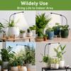 48LEDs Grow Lights for Indoor Plants 6000K Full Spectrum Ground Plug Grow Light with Gooseneck With 5 Level Dimmable & Auto Timer for Small and Indoor