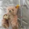 [USED] Not for sale. Teddy bear. Steiff. WACOAL prize.