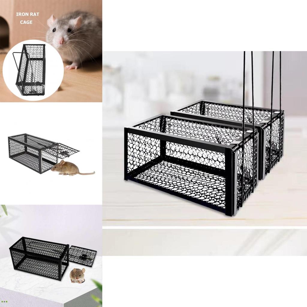 Hassle-free Iron Mouse Trap Control Catcher Easy To Set Up And Effective Pest Control