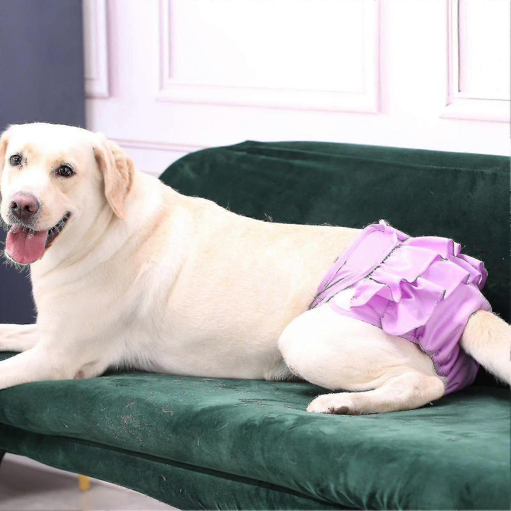 Puppy Diaper Breathable Health Care Menstruation Pants Dog Briefs Pet Physiological Pants For Female Dogs