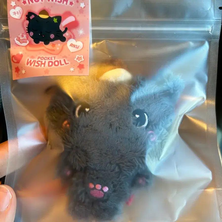 (New Item) NCT Wish Pocket Doll Wish Doll Kuri