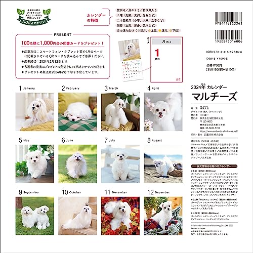 Календарь 2024 Мальтийский (Календарь Seibundo Shinkosha)