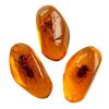 Random 1Pc Insects Amber Gemstone Scorpion Natural Mineral Home Decor Insects Amber Gemstone Diy Hand Crafts Gift