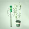 Plastic Flower Stand Rings Green Garden Supplies Decorative Trellis Bracket Climbing Vine Rack Potted Support Frame Tomato Cage