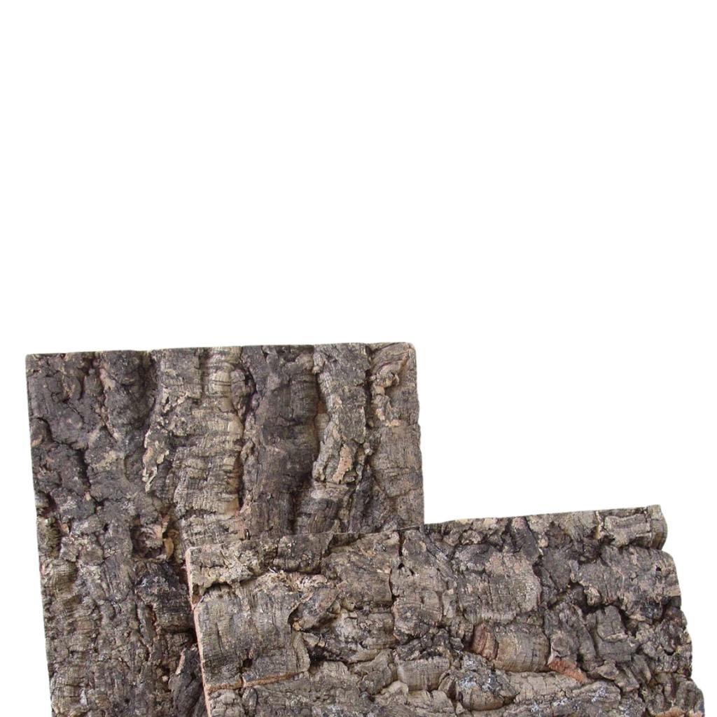 BioVirgin Cork Background Grey 30x20cm cork background for terrariums