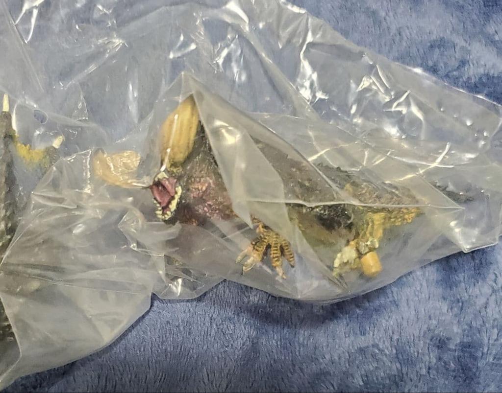 [Б/У] Monster Hunter Фигурка Monster Hunter Нергигант 1 ()