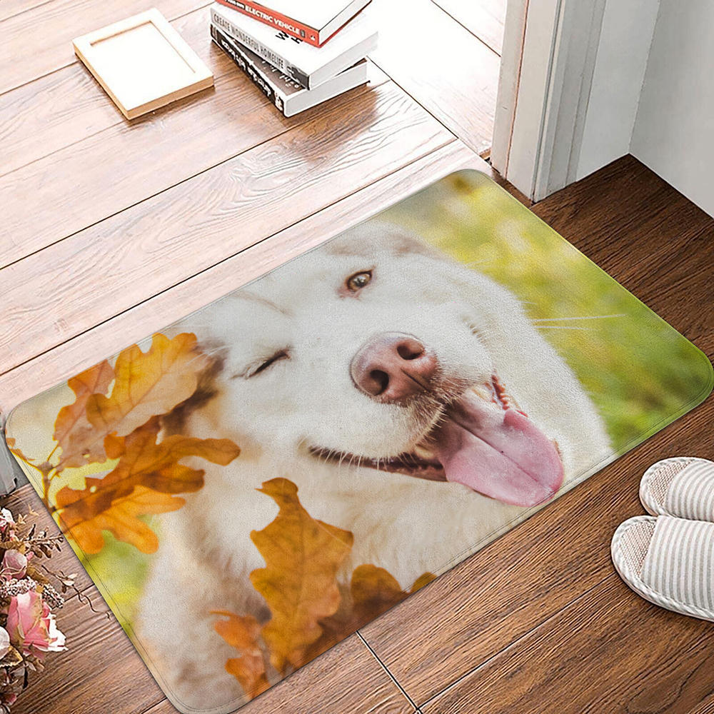 Floor Mat Entrance Door Mat Small Carpet Non-slip Door Mat Living Room Bathroom Kitchen Rug