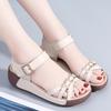 Fashion Platform Sandals Woman Summer 2024 New Open Toe Plus Size 35-41 Medium Heel Casual Wedges Sandals for Beach Office Buckle Strap