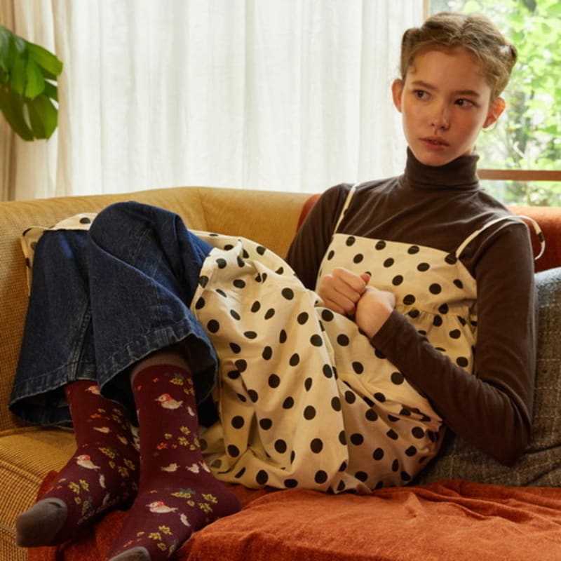 SOCKS APPEAL autumn sparrow family