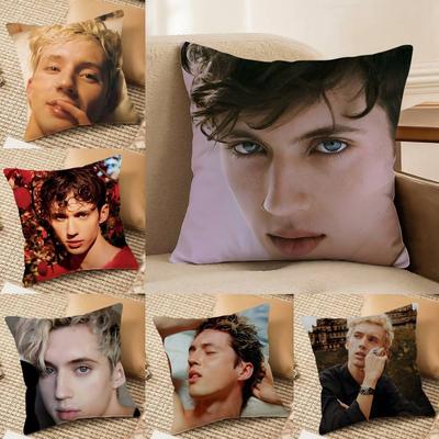 Певец T-Troye Sivan Наволочка Клещ Невидимая молния Диван-кровать