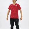 Mizuno Replica Japan National Team Cheering T-Shirt with Japan Logo, Unisex, Junior Available, Size 32MA0505, Red, Size L