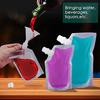 Leak-proof Reusable Juice Bag Useful Flask Liquor Cruise Pouch Sneak Alcohol