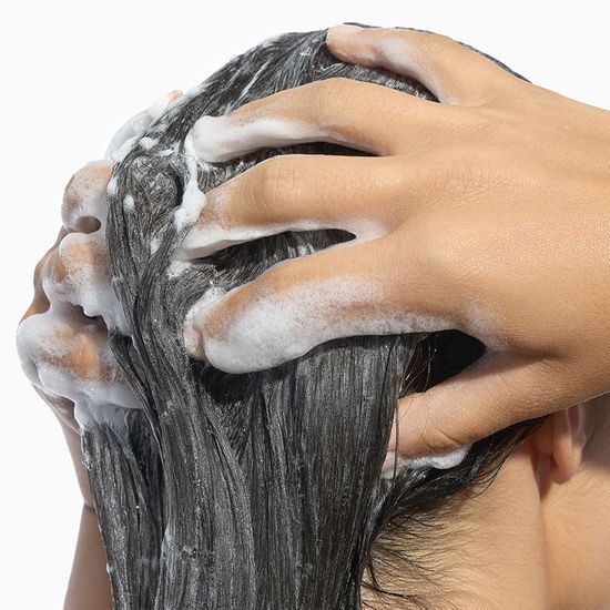 KLORANE Quinine Edelweiss Shampoo 400ml Bonobono Planning/Single Product/2-Pack Planning