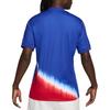 Nike Мужская выездная игровая футболка Nike Dri-FIT USMNT 2024 FJ4277-417