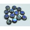 13X13MM Natural Labradorite Blue  Round Cabochon Loose Gemstone 13Pcs Lot C-1034
