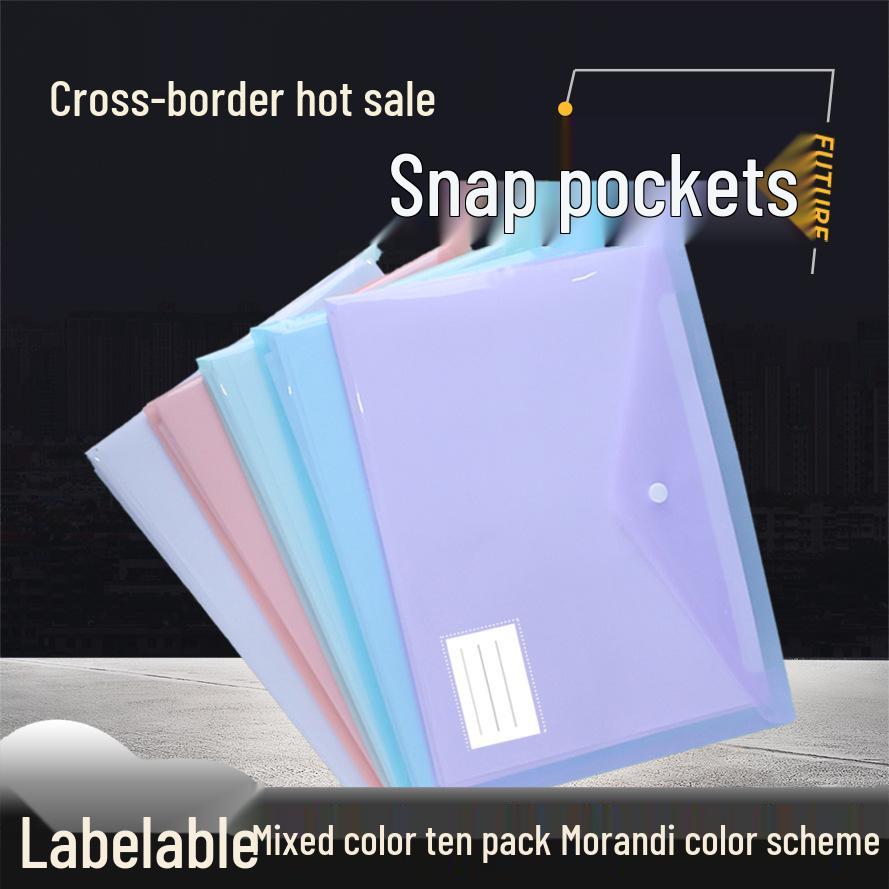 Прозрачная папка-конверт А4 с мультяшным рисунком на кнопке и местом для хранения этикетки