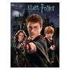 Harry Potter Canvas Print