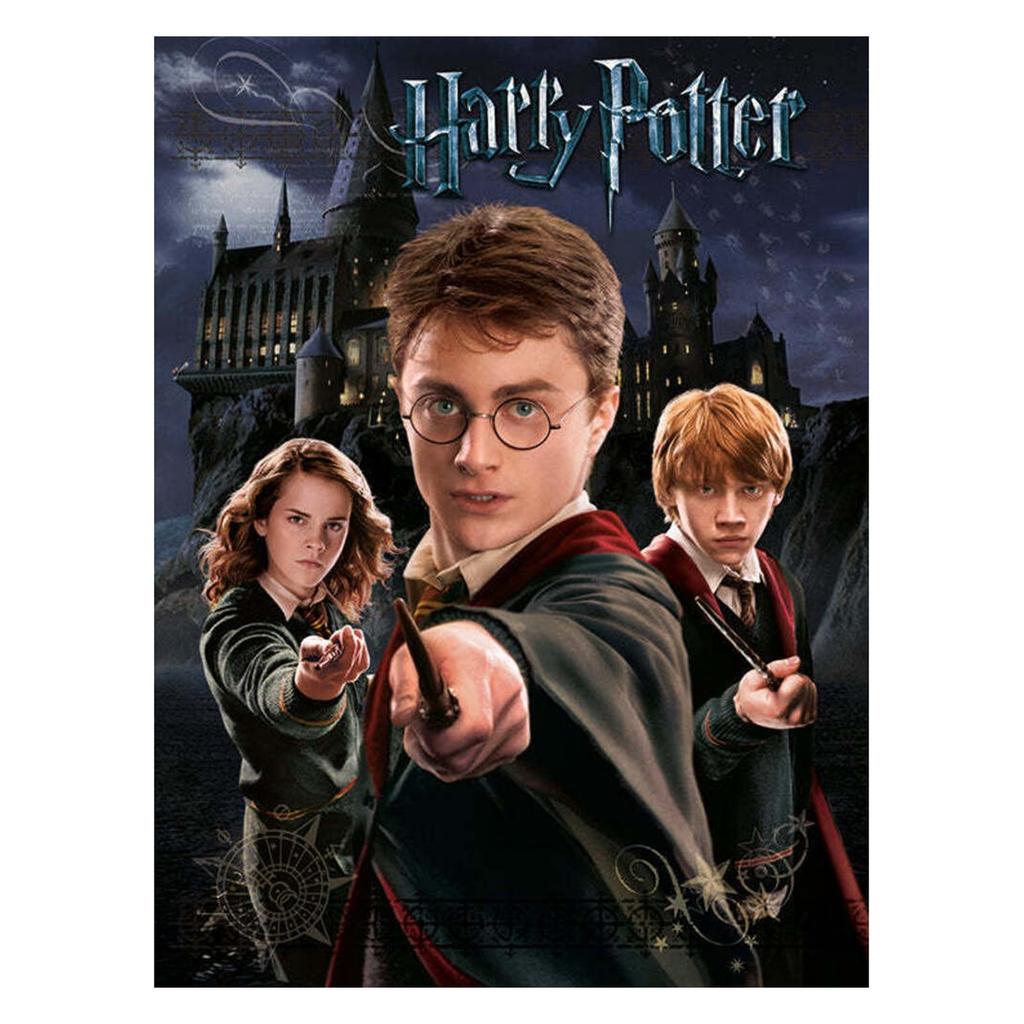 Harry Potter Canvas Print