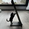 3D-печатная подставка для телефона в форме кошки, Настольное украшение для дома и офиса, Универсальная подставка для мобильных телефонов и планшетов