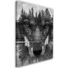 Canvas Print, Black Wolf Abstract