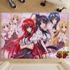 Коврик для пола аниме High School DxD в стиле INS, мягкий ковер для пола в спальне, коврик для дома, прачечной, противоскользящие бытовые ковры