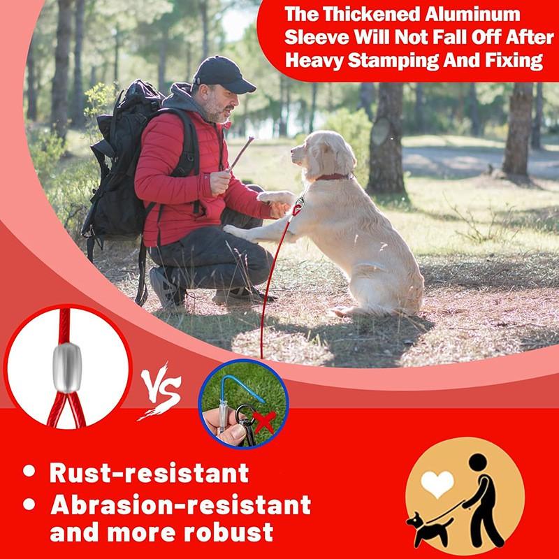Stainless Steel Dog Tie-Out Stake With 3m Or 5m Dual-End Tether Lead Outdoor Pet Training Secure Restraint