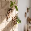 Home Ornaments Hydroponic Planter Shelf Vase Wall Decoration Wall Mounted Planter  Indoor Garden