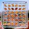 36/64/100 Grids Acrylic Seashell Display Box Case Clear Magnetic Storage Box Small Craft Container for Bead Nail Jewelry Holder