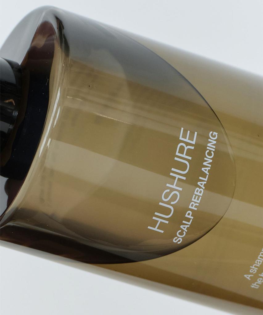 [Hair Loss Functional] Scalp Rebalancing Shampoo 290ML * 2