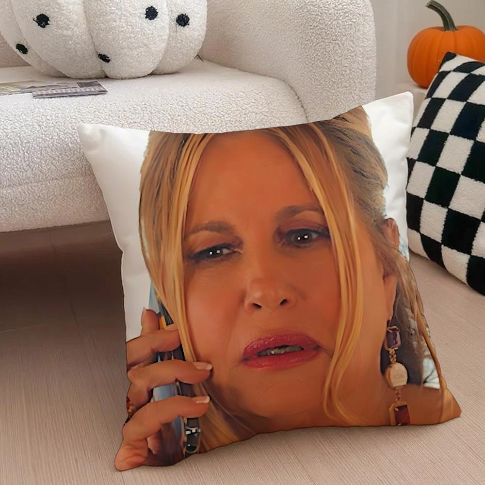 TTanya McQuoid Cushion Cover Throw Pillow Cover Hidden Button Durable Polyester Chair Cushion