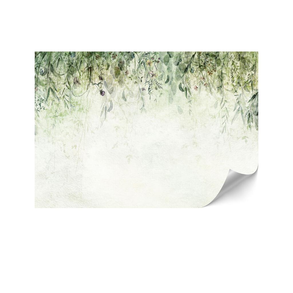 Fototapeta Flizelinowa Premium - 250 X 175 Cm - Styl Boho - Natura