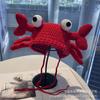 Fashion handmade cartoon wool hat men's and women's party personalized knitted hat new warm cold hat