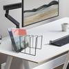 Vinyl Record Stand Vinyl Record Display Shelf Black Iron Desktop Storage Book Rack Record Collection Storage Exhibit Stand