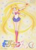 Pretty Guardian Sailor Moon R VOL.1 [DVD]
