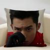 Дилан Ванг Китайский Актер Подушка Домашний Декор Льняная Наволочка для Диванной Подушки: Приятный к коже и дышащий с невидимой молнией