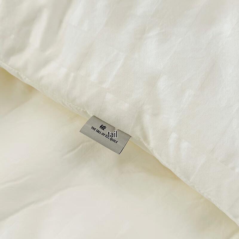 Nan Fang Sheng Huo Silk Protein Jacquard Winter Quilt