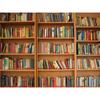 Фон для стримера Douyin в высоком разрешении: Книжная полка Офисный декор