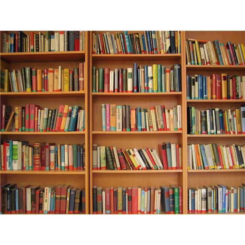 Фон для стримера Douyin в высоком разрешении: Книжная полка Офисный декор