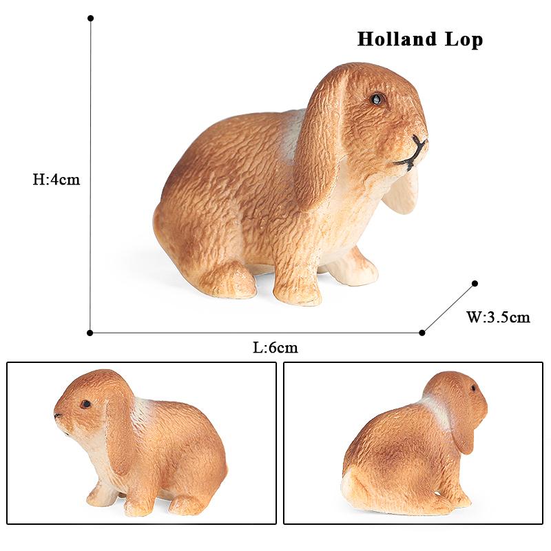 Oenux Lovely Farm Rabbit Bunny Model Action Figure Figurine Wild Desert Cottontail Hare Cute PVC Decoration Education Kid Toy