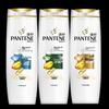 Pantene Repair & Care Shampoo