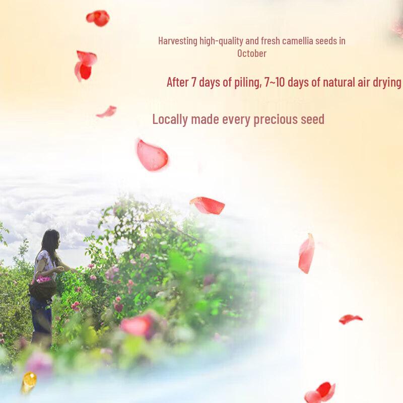 Набор шампуня и кондиционера Sulei с маслом камелии для контроля жирности и против перхоти