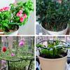 2-12PCS Plant Support Pile Garden Semicircle Flower Stand Cage Plant Grow Fixing Rod Vine Climbing Bracket Stake Holder Bonsai Tool