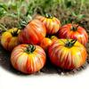 30 Tigerella Tomato Seeds
