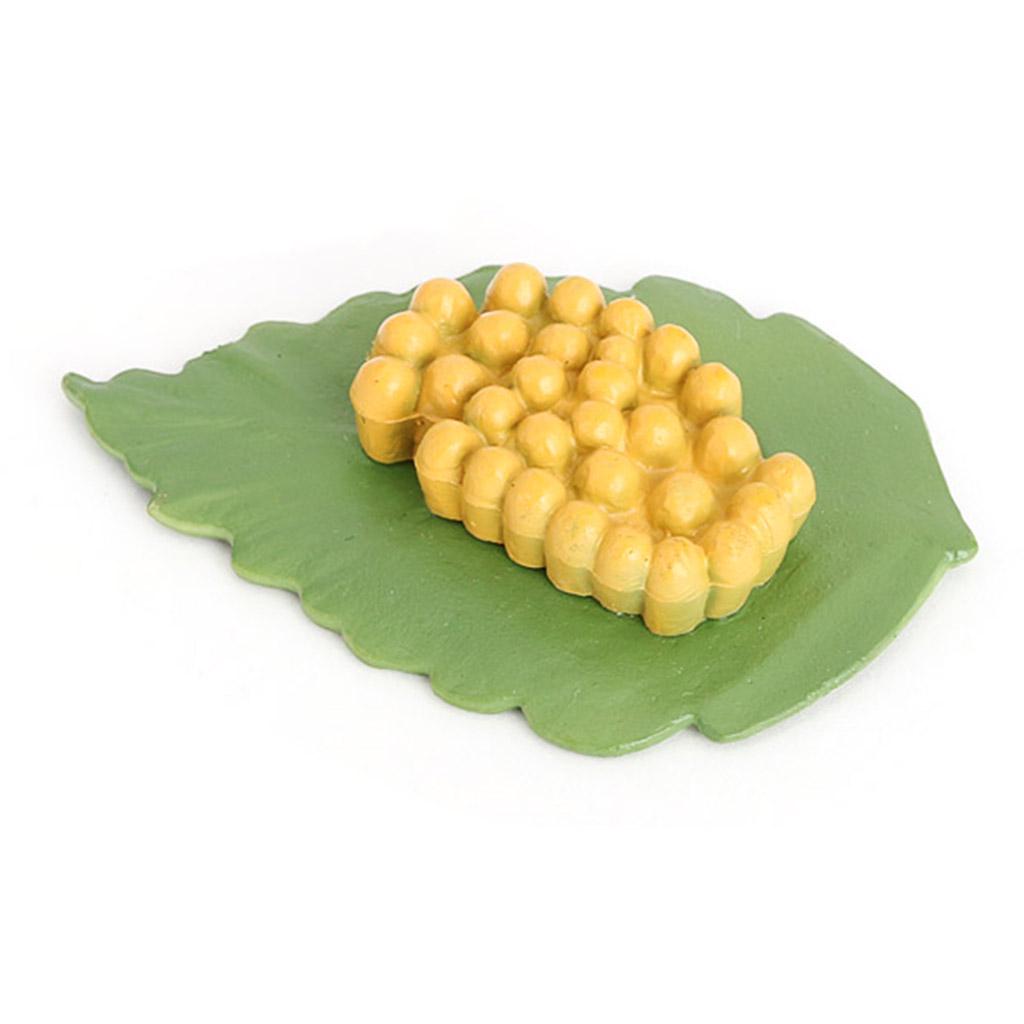 Учебные пособия по жизненному циклу животных для детей от 5 лет Божья коровка