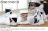 Стакан Coconeco стеклянный Coconeco родительский кот 4 узора ассорти в специальной коробке ручной работы, сделанной в Японии [300 мл / набор],
